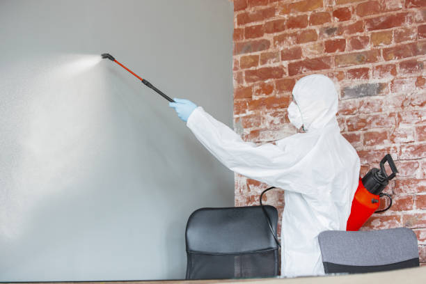 Best Commercial Mold Inspection  in Lafayette, GA