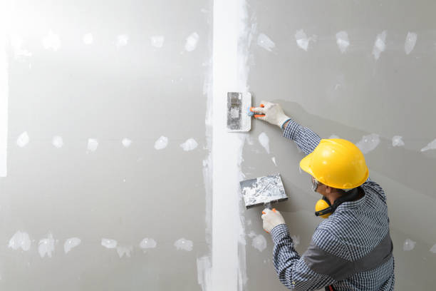 Best Attic Mold Removal  in Lafayette, GA