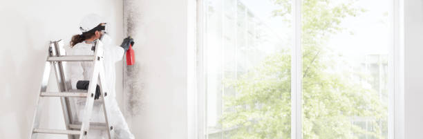 Best Residential Mold Inspection & Testing  in Lafayette, GA